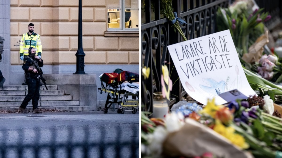 Den 18-åriga elev som erkänt dubbelmordet på Malmö latinskola häktas.